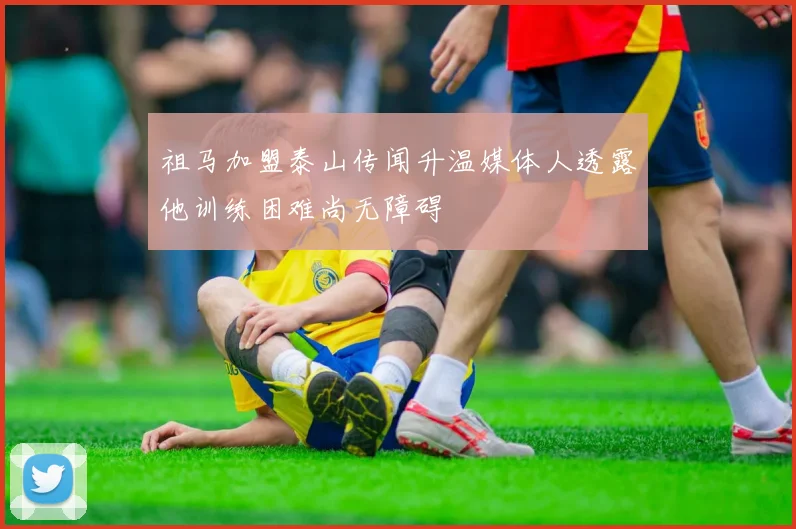 祖马加盟泰山传闻升温媒体人透露他训练困难尚无障碍